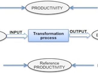 Difference between efficiency and productivity
