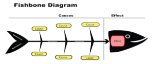 What is a Fishbone Diagram?